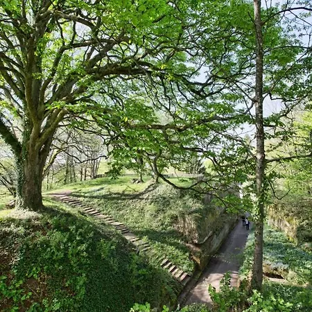 Prázdninový dům Maison Privilege Nature A Pierre La Petite-Pierre