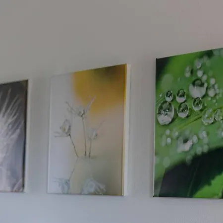 Maison Privilege Nature A Pierre La Petite-Pierre